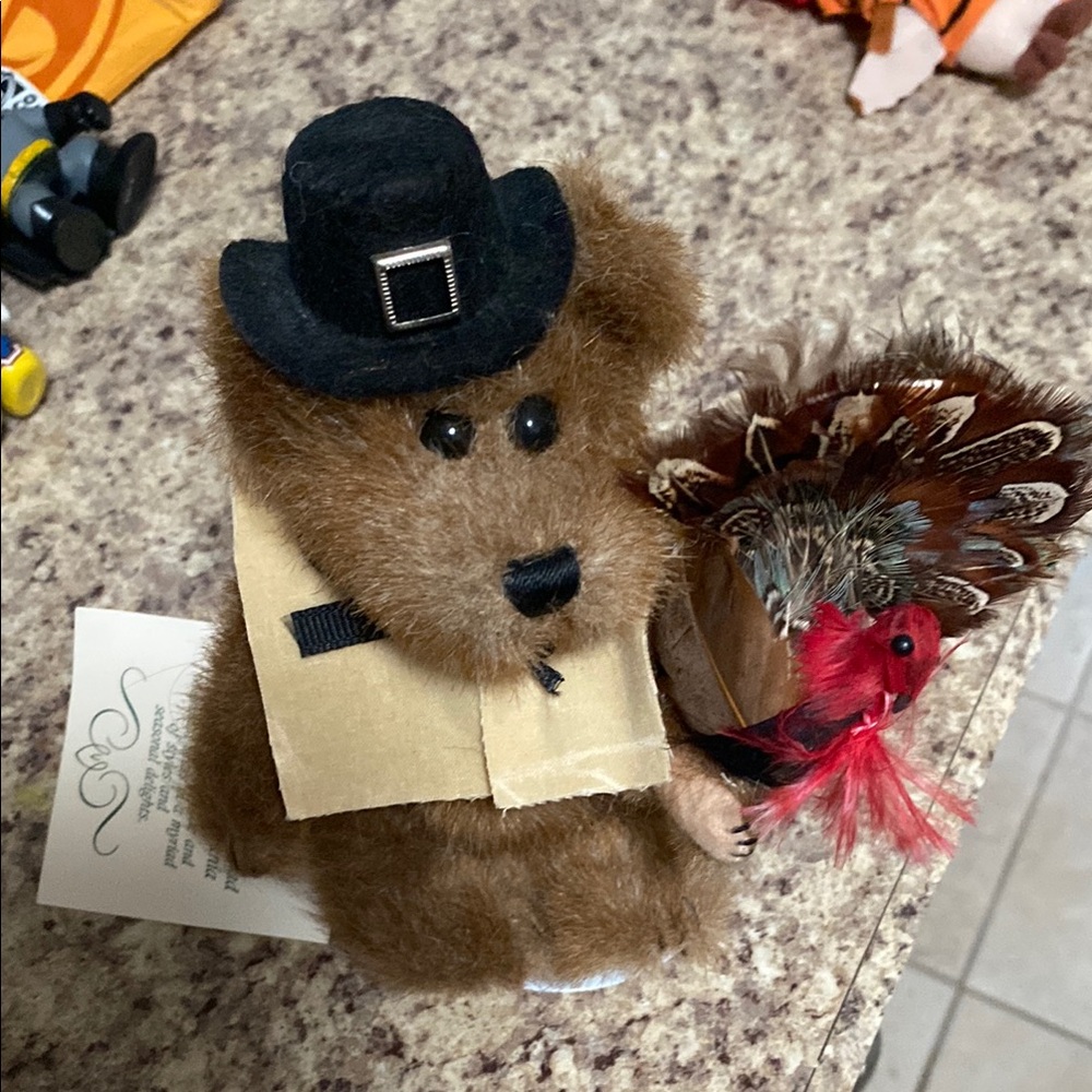 Brown Teddy Bear with Pilgrim Hat and Turkey